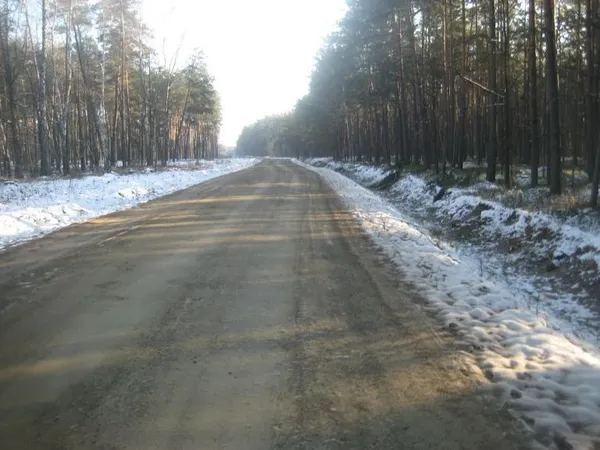 На Волині проклали більше 100 км лісових доріг (фото)
