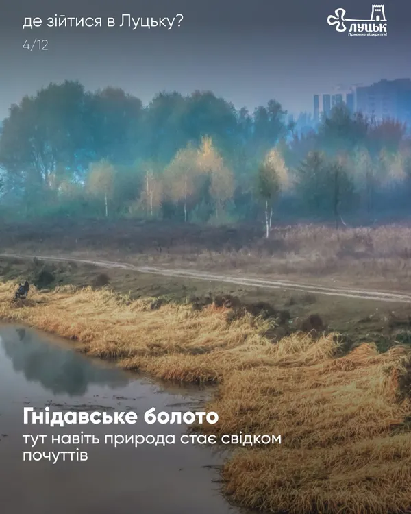 Болото, РАЦС і Лесина вітальня: ТОП-10 місць Луцька, де можна зійтися з партнером