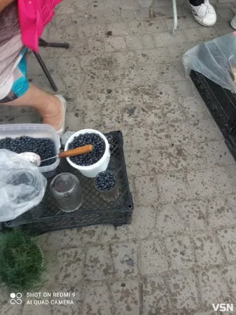 На Волині масово скуповують ягоди: скільки коштує смородина, чорниця, шовковиця та порічки  (фото)