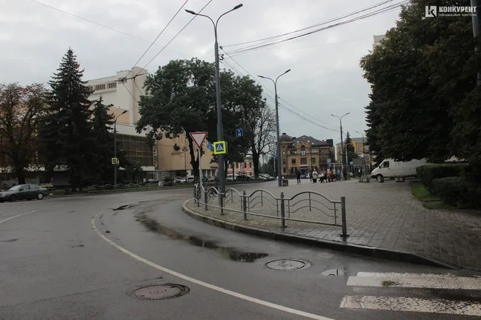 Підтоплені двори і опале листя: наслідки грози у Луцьку (фото)