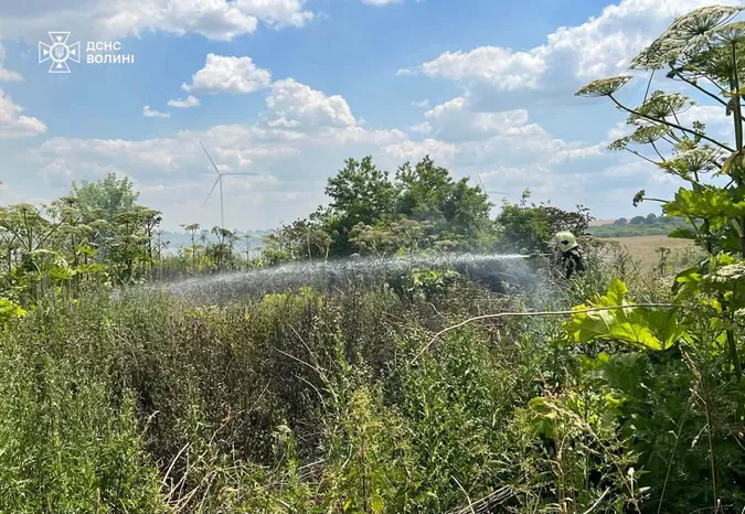 Вогонь охопив майже гектар: на Волині рятувальники ліквідували чотири пожежі сухостою (фото)