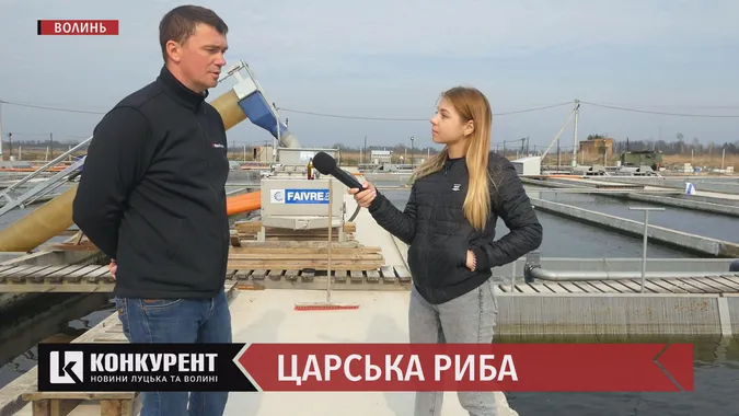 Волинь могла б годувати рибою всю Європу: репортаж із форелевого господарства (відео)