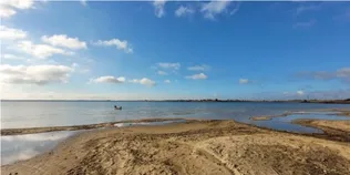 Що приховує вода волинських озер і річок: фахівці перевірили Прип'ять, Світязь і ще чотири озера (фото)