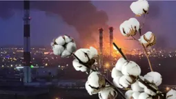 У Луцьку хотіли назвати вулицю на честь мему про бавовну (фото)