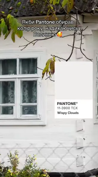 Якби Pantone надихався Волинню (відео)