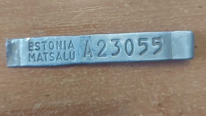 «Гість» з Естонії: у лісі на Волині знайшли кільце рідкісного баклана