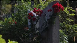 Три історії про живих: (не)містична прогулянка луцьким цвинтарем (фото)