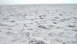 Назвали найцікавіші озера України (фото) 