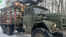 У заповіднику «Цуманська пуща» різали й вивозили ліс без документів (фото)