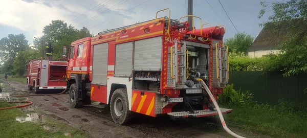 На Волині через грозу загорівся хлів, де були свині (фото)