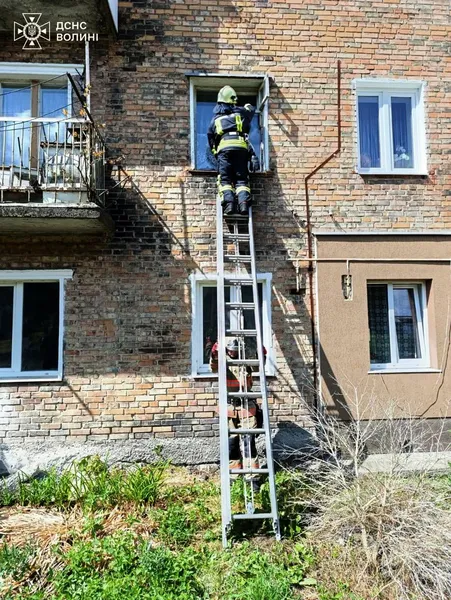 У Нововолинську старенька бабуся довго не виходила на зв'язок: як її рятували