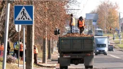 До 5 тонн щодня: як у Луцьку прибирають опале листя (фото, відео)