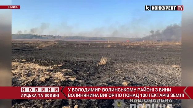 Підпалив очерет: з вини волинянина вигоріло понад 100 гектарів землі (фото, відео)