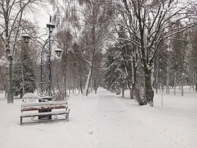 Сніжно і безлюдно: зима у Центральному парку Луцька (фото)
