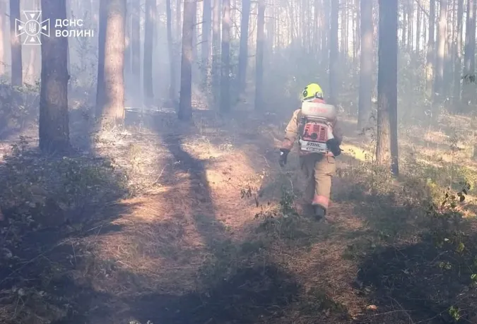 Вогонь охопив 6,2 га: на Волині горіли суха трава, очерет і лісова підстилка (фото)