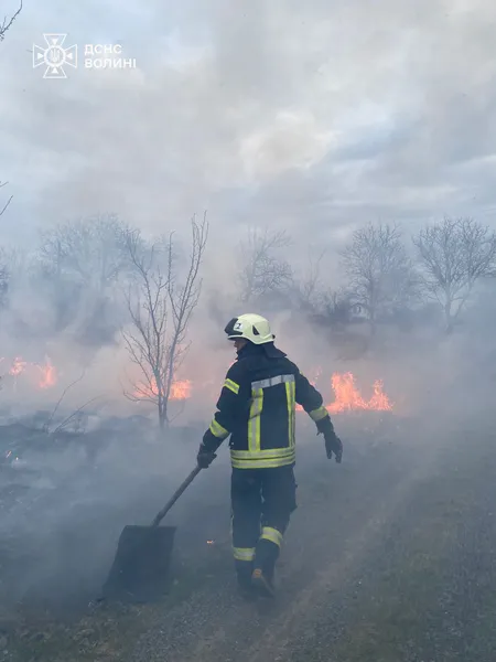 Найтриваліша пожежа на Волині: рятувальники пів доби гасили вогонь на торфовищі (фото)
