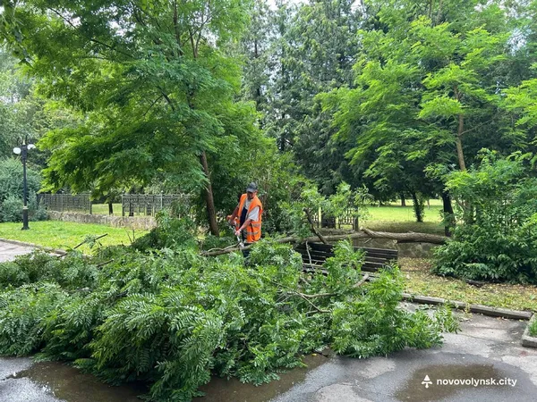 Повалені дерева та пошкоджені лінії електропередач: Нововолинськ оговтується від наслідків негоди (фото)