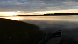 Магія вечора: озеро на Волині потопає у золотих барвах заходу сонця (фото)