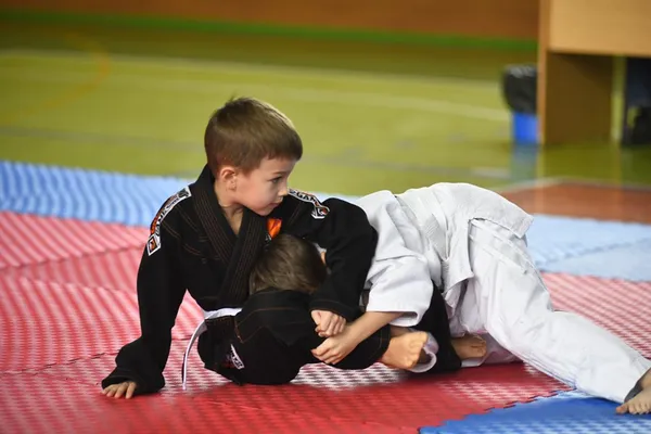 Луцькі борці здобули перемогу у Відкритому чемпіонаті із бразильського джиу-джитсу (фото)