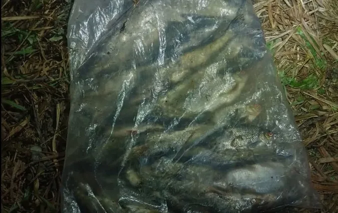 Понад 81 тисяча гривень збитків: на Волині викрили браконьєрів на річці Стохід