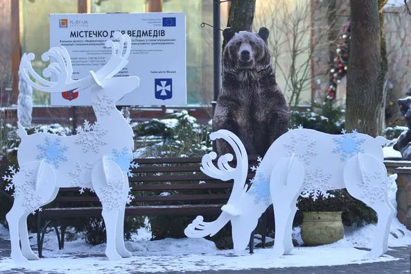 У Луцькому зоопарку з'явилася новорічна фотозона з казковими оленями