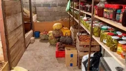 Щоб картопля не гнила, а яблука не псувалися: як підготувати льох до зими