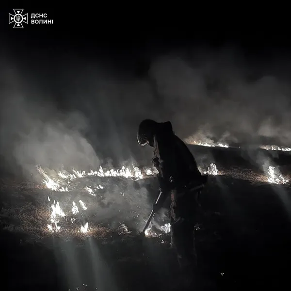 Волинь – у вогні: за добу гасили понад десяток пожеж