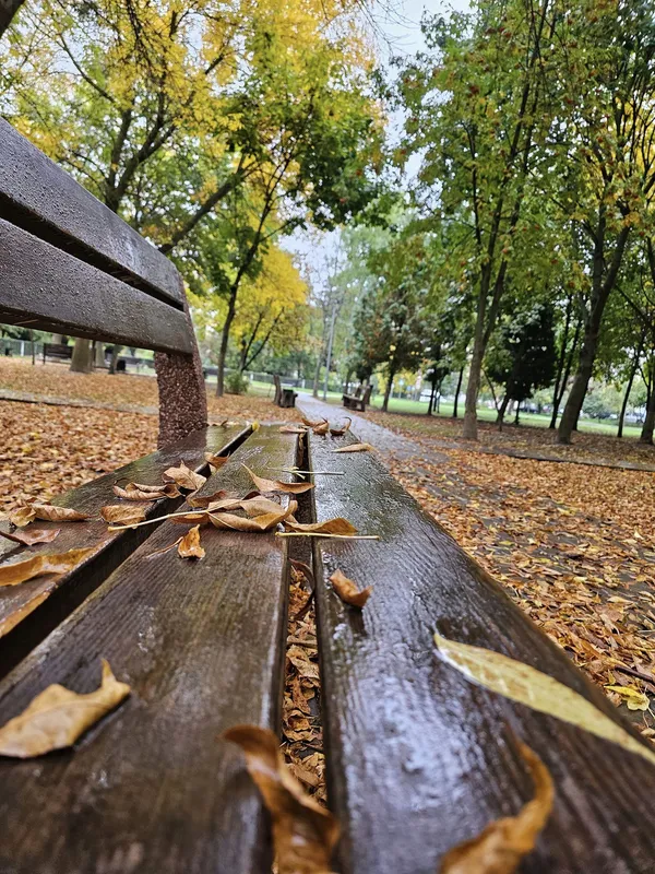 Осінній Луцьк: волинянин опублікував заворожуючі світлини міста (фото)
