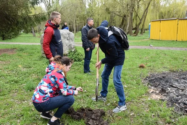 У центральному парку Луцька посадили нові дерева (фото)