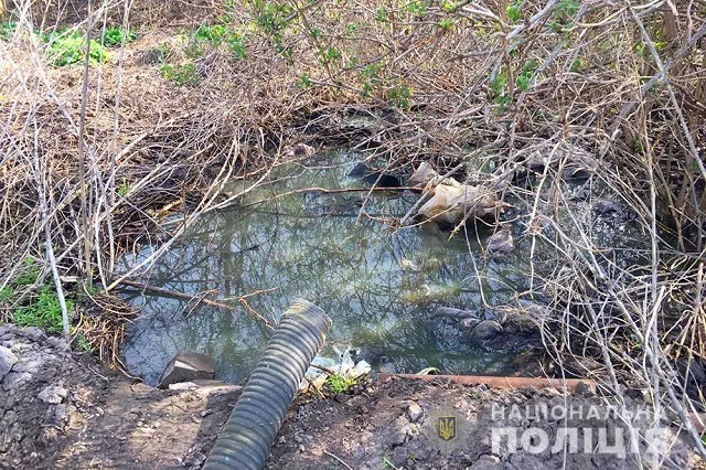 У Світязі спіймали водія, який зливав нечистоти у проточну водойму