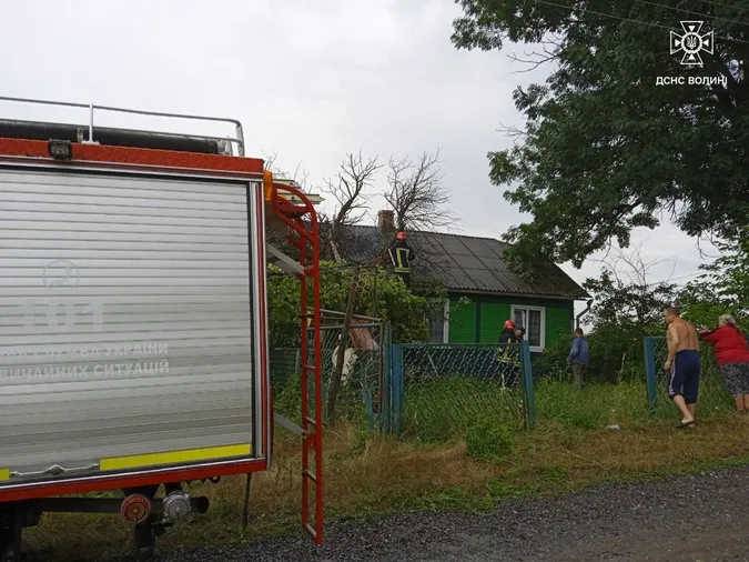 На Волині здоровенне дерево впало на дах будинку (фото)
