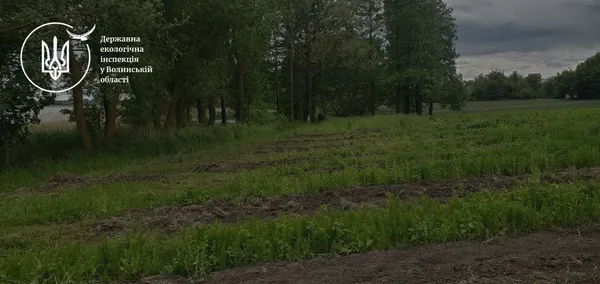 Самовільно зайняли землю громади й зорали берег ставка: на Волині екологи викликали поліцію