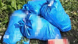 У волинянки на городі знайшли майже 800 рослин маку (фото)