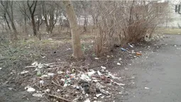 Луцьких підприємців просять прибрати те, що було під снігом (фото)