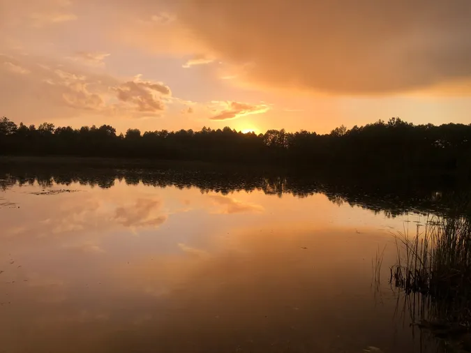 На Волині є унікальне крихітне озеро з золотистою водою (фото)