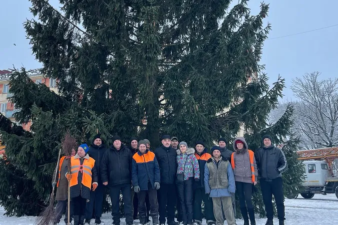 🎄 У Володимирі встановили головну ялинку міста (фото)