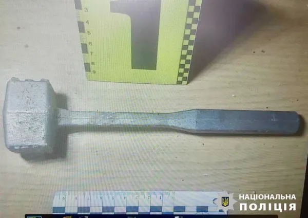 Вкрав сусідську черепаху та зварив суп: одеському «гурману» загрожує 8 років в'язниці (фото)