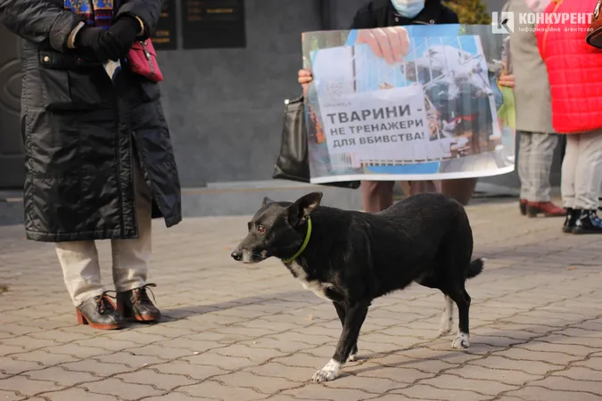Луцькі зоозахисники пікетували управління поліції: що вимагали (фото)