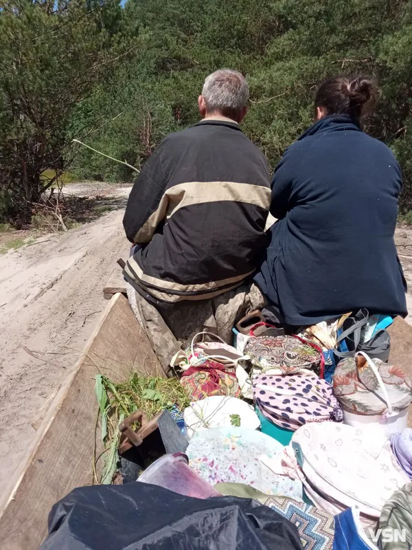 Скільки заробляють волиняни на чорницях