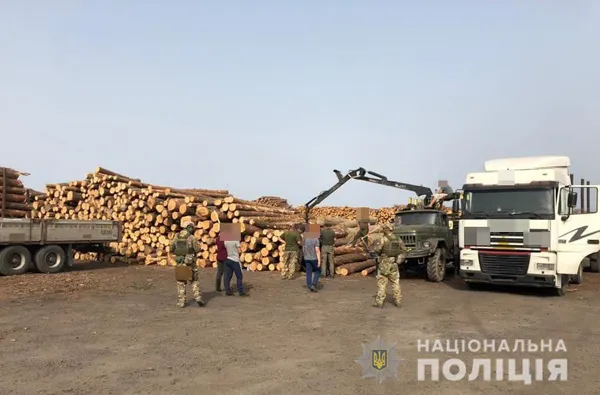 На волинських пилорамах знайшли незаконні дуби й сосни (фото)