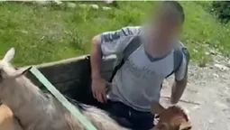 Кози, свині, ухилянти: на кордоні з Румунією затримали волинянина (фото, відео)