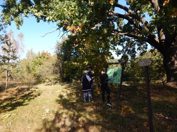 Мандрівники з Англії блукали автентичним волинським селом (фото)