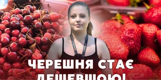 Ягоди дешевшають: які ціни на полуницю та черешню на луцькому ринку (відео)