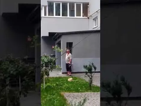 У Луцьку чоловік знущався над собакою