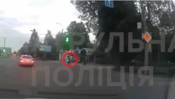 У Луцьку «безсмертний» пішохід «нарвався» на патрульних (відео)
