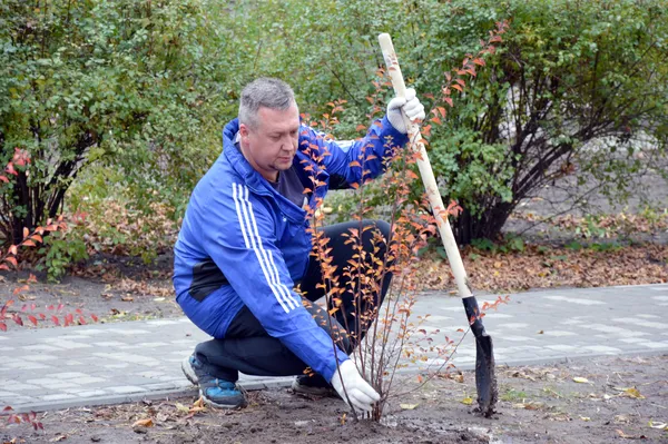 «Будуємо спільне майбутнє»: у луцьких дворах посадили дерева