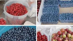 Вишні, чорниці, лохина, малина: скільки коштують ягоди на ринку у Луцьку (фото)