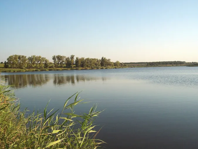 П'ять років на Волині незаконно користувалися ставком