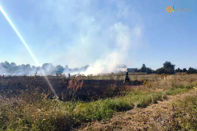 На Ковельщині горів гектар чагарників, під загрозою опинились будинки