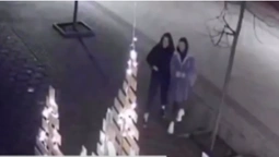 Відеокамери впіймали луцьких "ялинкових вандалок" (відео)